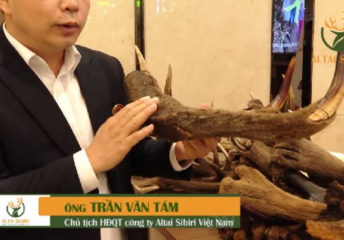 NHUNG HƯƠU KHÔ ALTAI SIBIRI