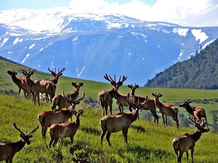 168540226_3877427292349385_4911712870532395706_n