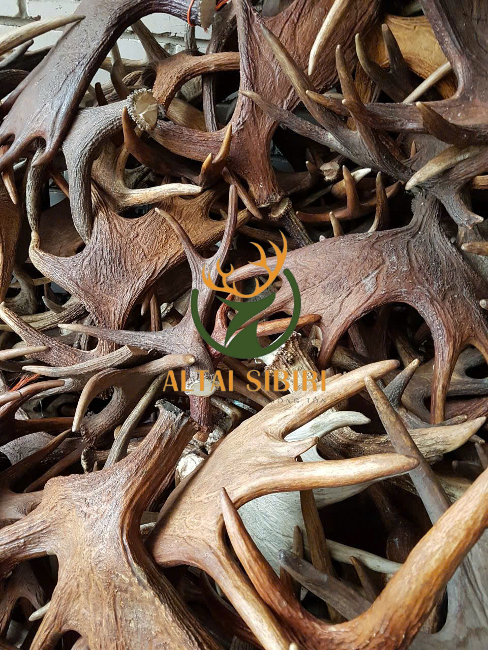 z5999817505810_12afae82038dd32d5b82d61bad51693e